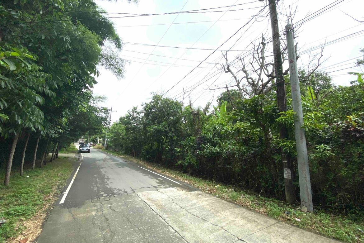Land for Sale in Dagatan, Amadeo, Cavite – photo 2