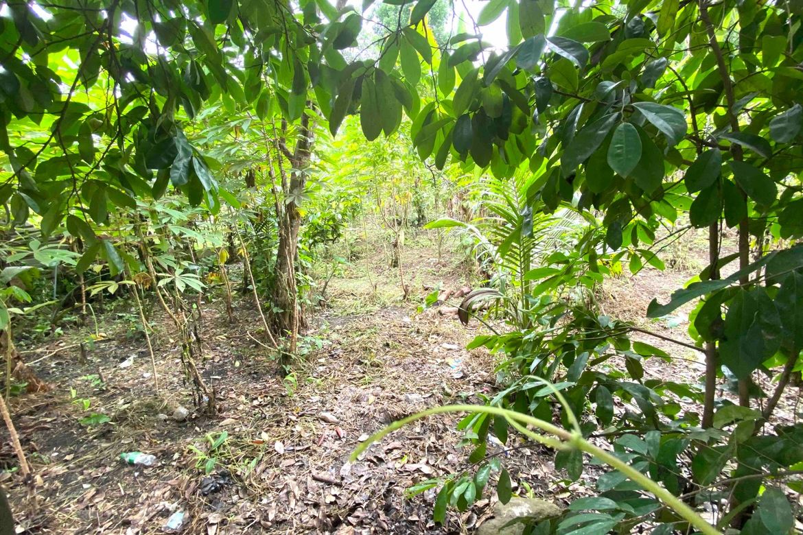 Land for Sale in Dagatan, Amadeo, Cavite – photo 3