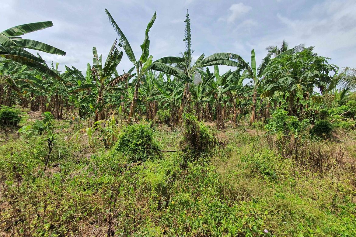 Land for Sale in Dagatan, Amadeo, Cavite