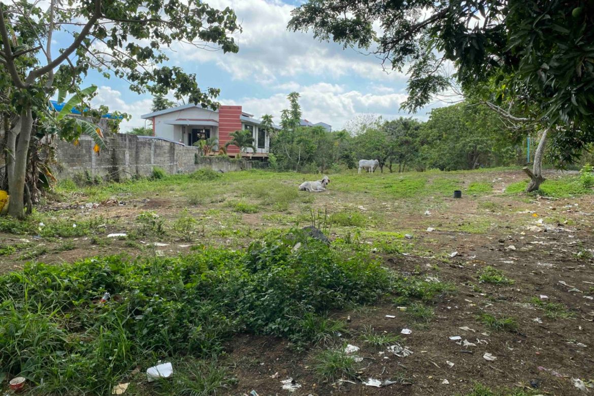 Land for Sale in Dagatan, Amadeo, Cavite
