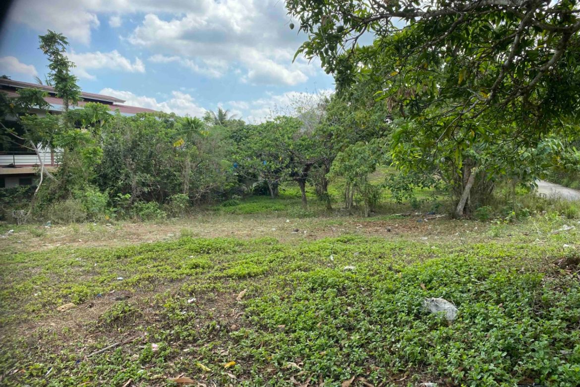 Land for Sale in Dagatan, Amadeo, Cavite – photo 2