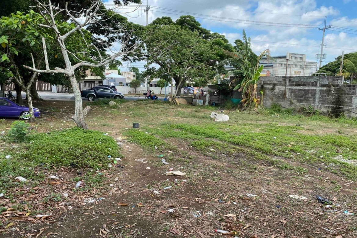 Land for Sale in Dagatan, Amadeo, Cavite – photo 3