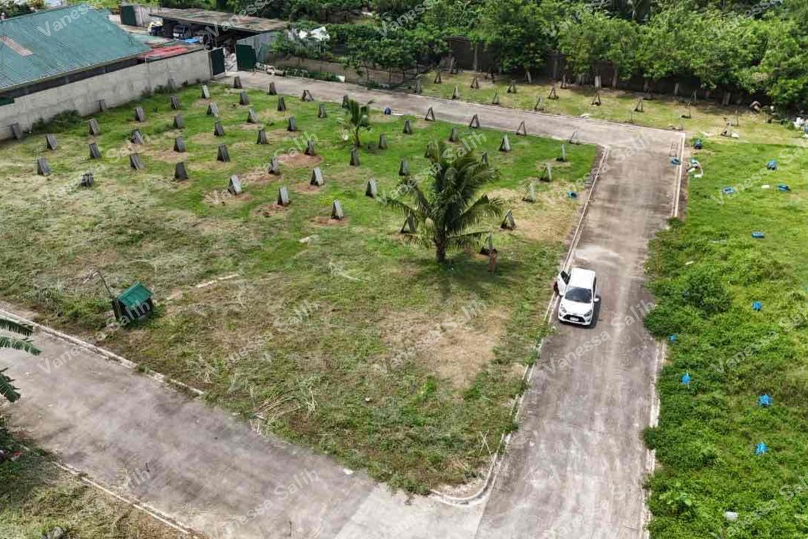 Land for Sale in Dagatan, Amadeo, Cavite – photo 5