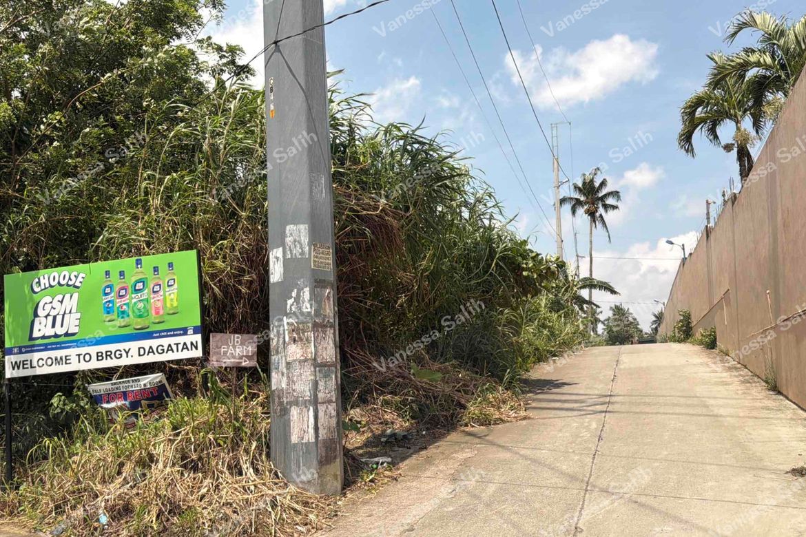 Land for Sale in Dagatan, Amadeo, Cavite – photo 7