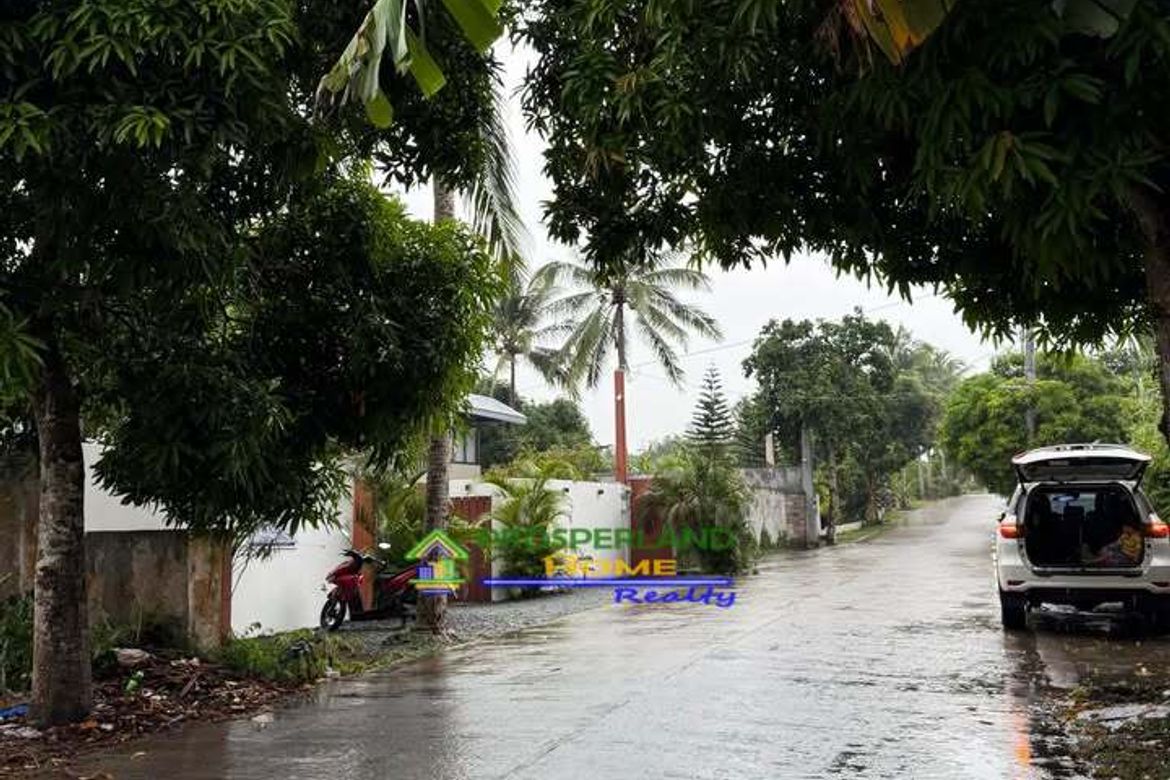 Land for Sale in Dagatan, Amadeo, Cavite – photo 2