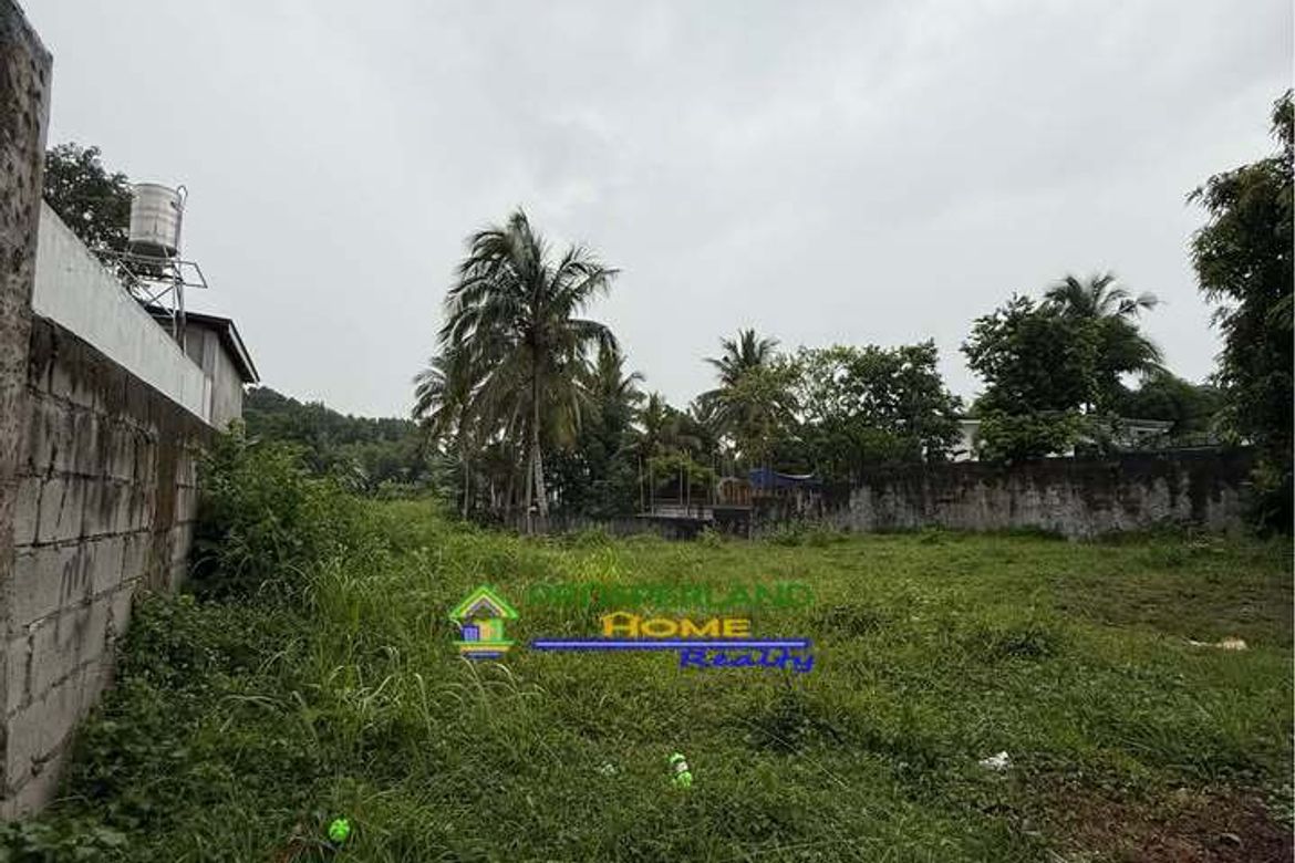 Land for Sale in Dagatan, Amadeo, Cavite – photo 3