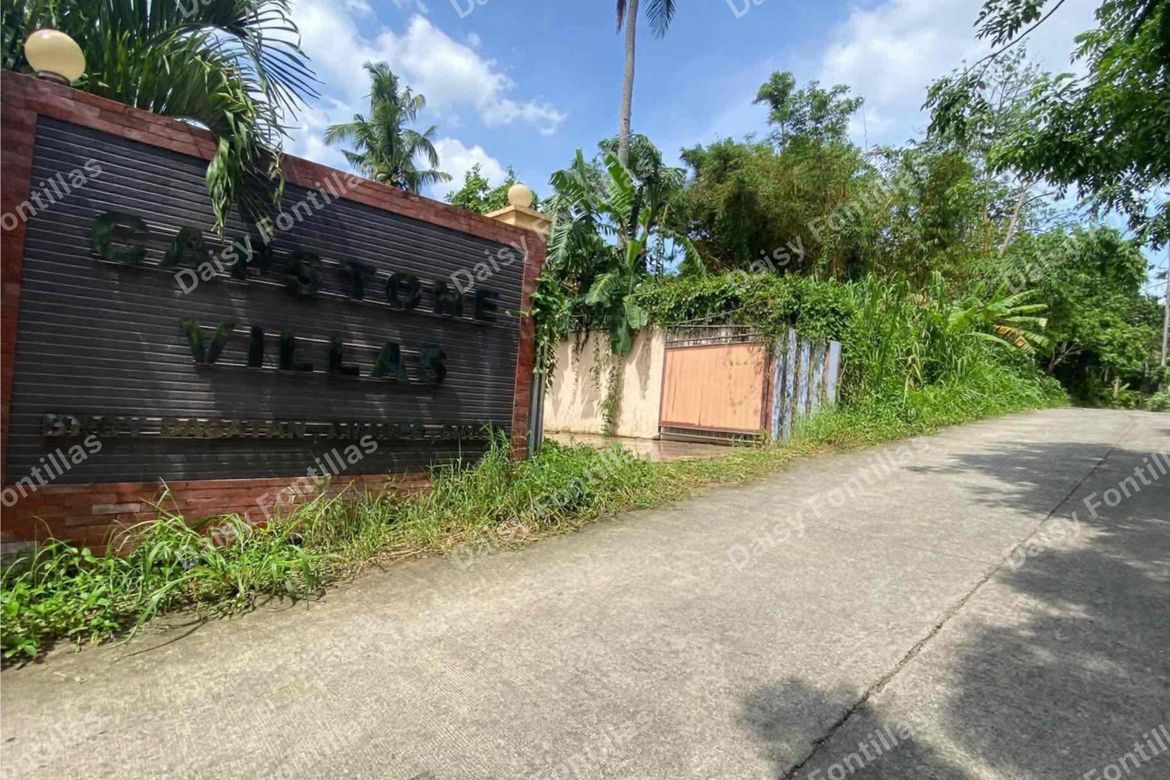 Land for Sale in Dagatan, Amadeo, Cavite – photo 6