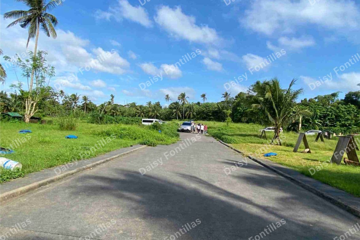 Land for Sale in Dagatan, Amadeo, Cavite – photo 7