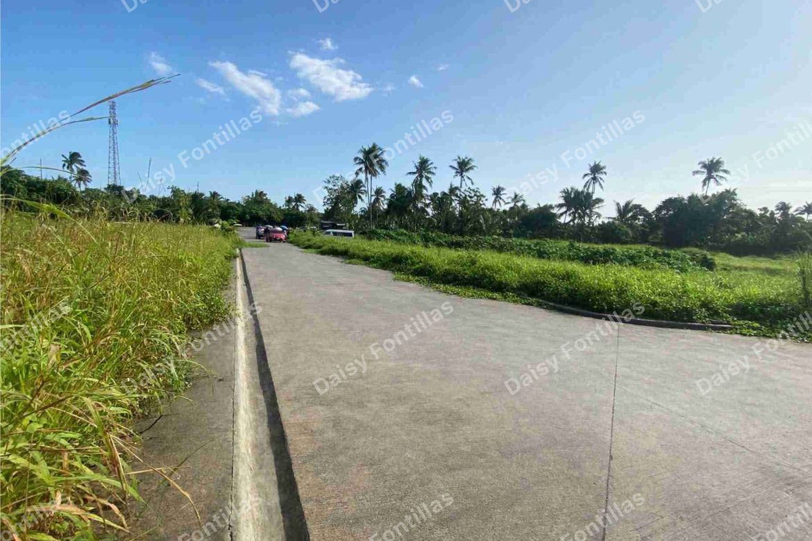 Land for Sale in Dagatan, Amadeo, Cavite – photo 8