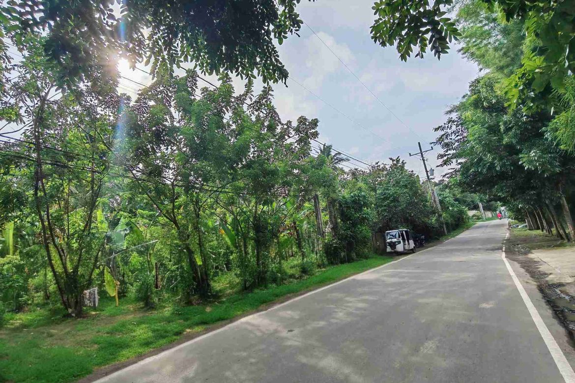 Land for Sale in Dagatan, Amadeo, Cavite – photo 4