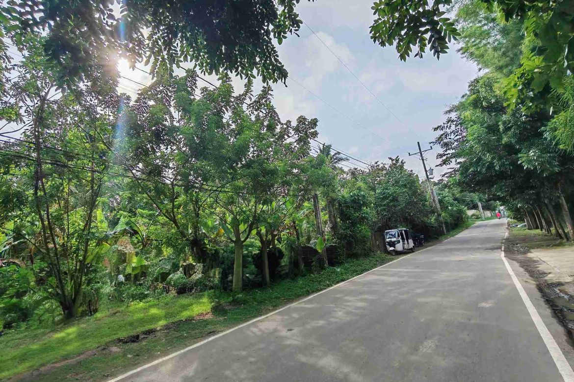 Land for Sale in Dagatan, Amadeo, Cavite – photo 5