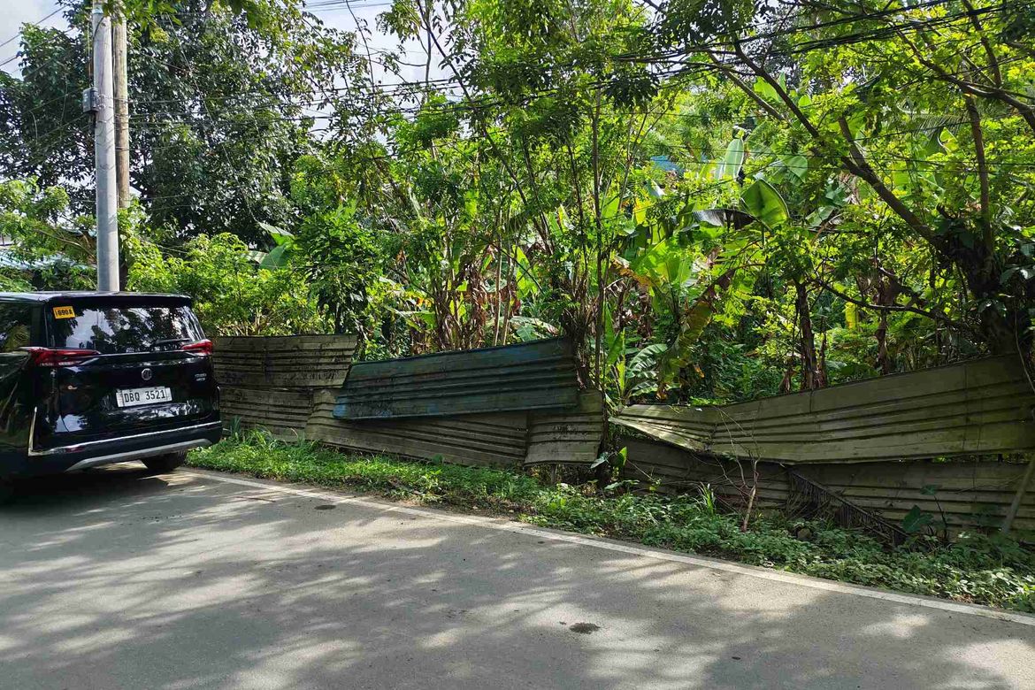 Land for Sale in Dagatan, Amadeo, Cavite – photo 8