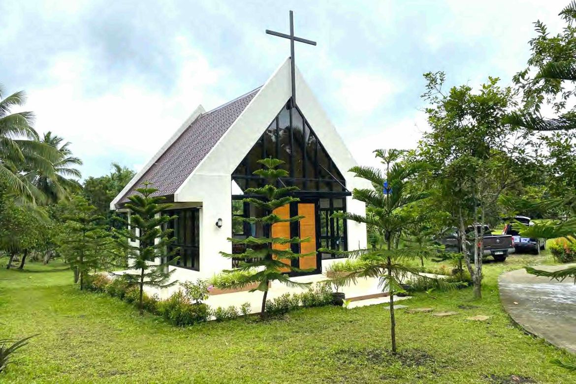 Land for Sale in Dagatan, Amadeo, Cavite – photo 2