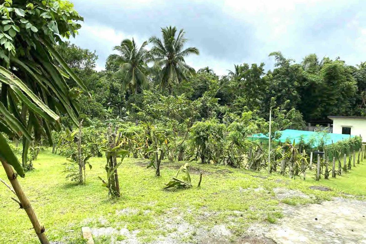 Land for Sale in Dagatan, Amadeo, Cavite – photo 6