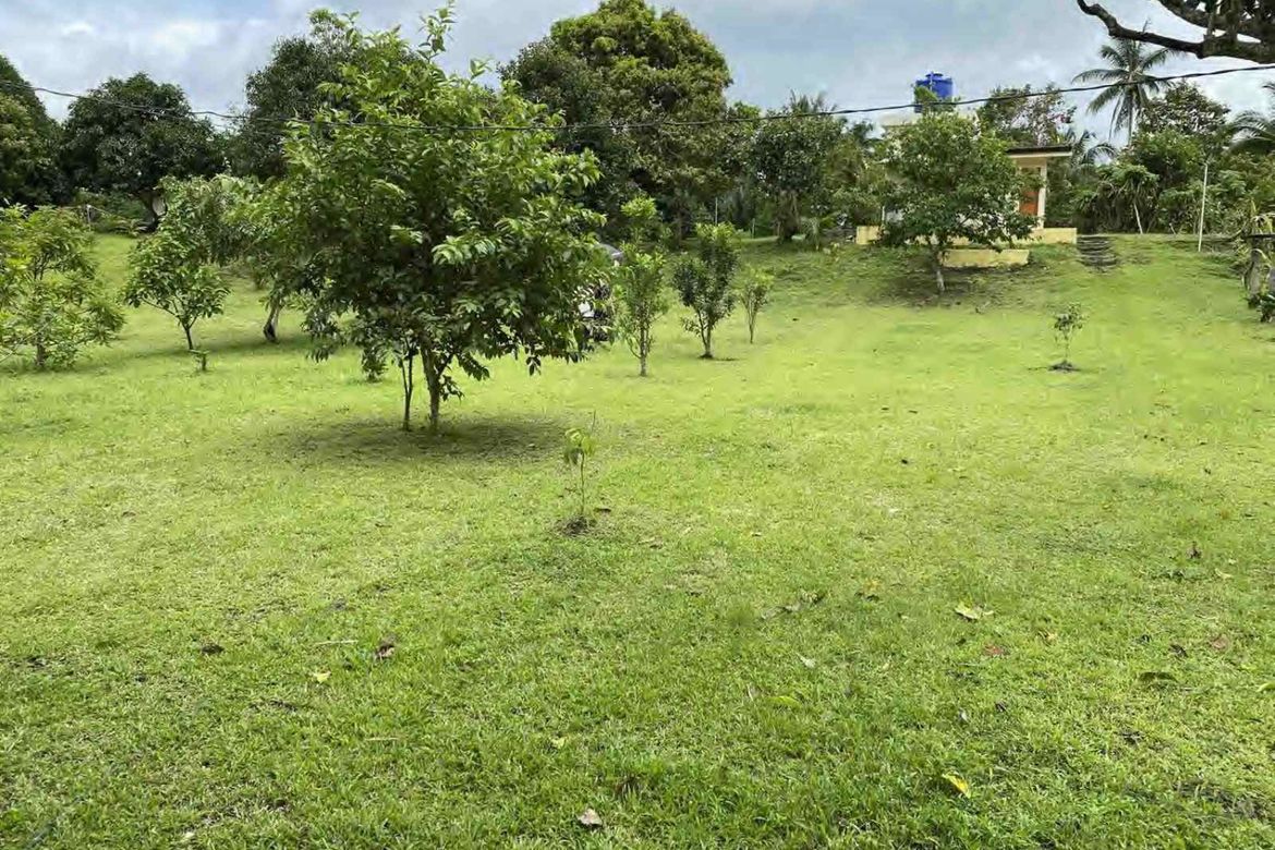 Land for Sale in Dagatan, Amadeo, Cavite – photo 7