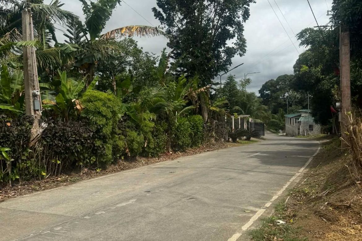 Land for Sale in Dagatan, Amadeo, Cavite – photo 2