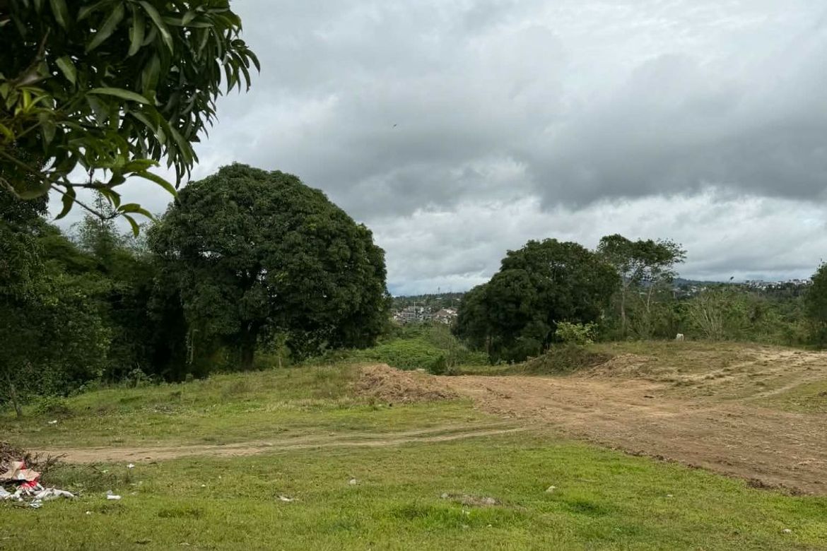 Land for Sale in Dagatan, Amadeo, Cavite – photo 4