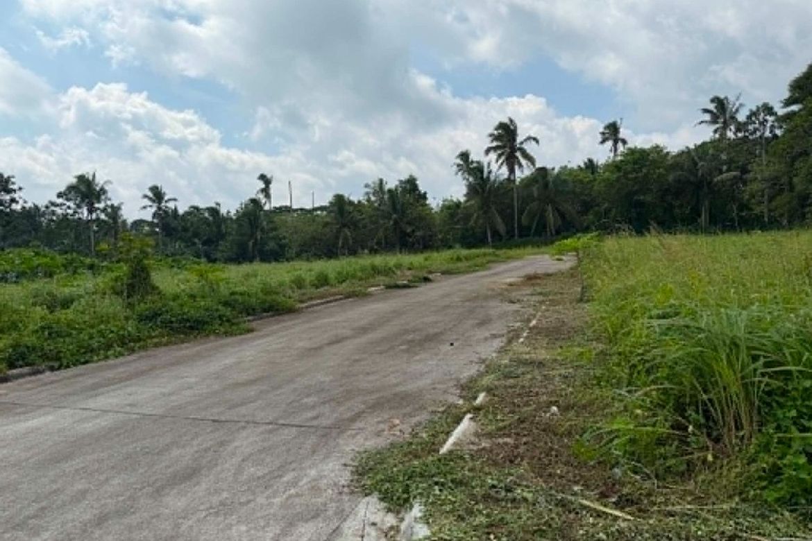 Land for Sale in Dagatan, Amadeo, Cavite – photo 3