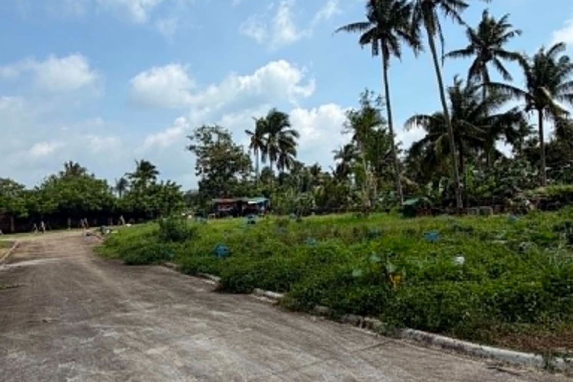Land for Sale in Dagatan, Amadeo, Cavite – photo 5