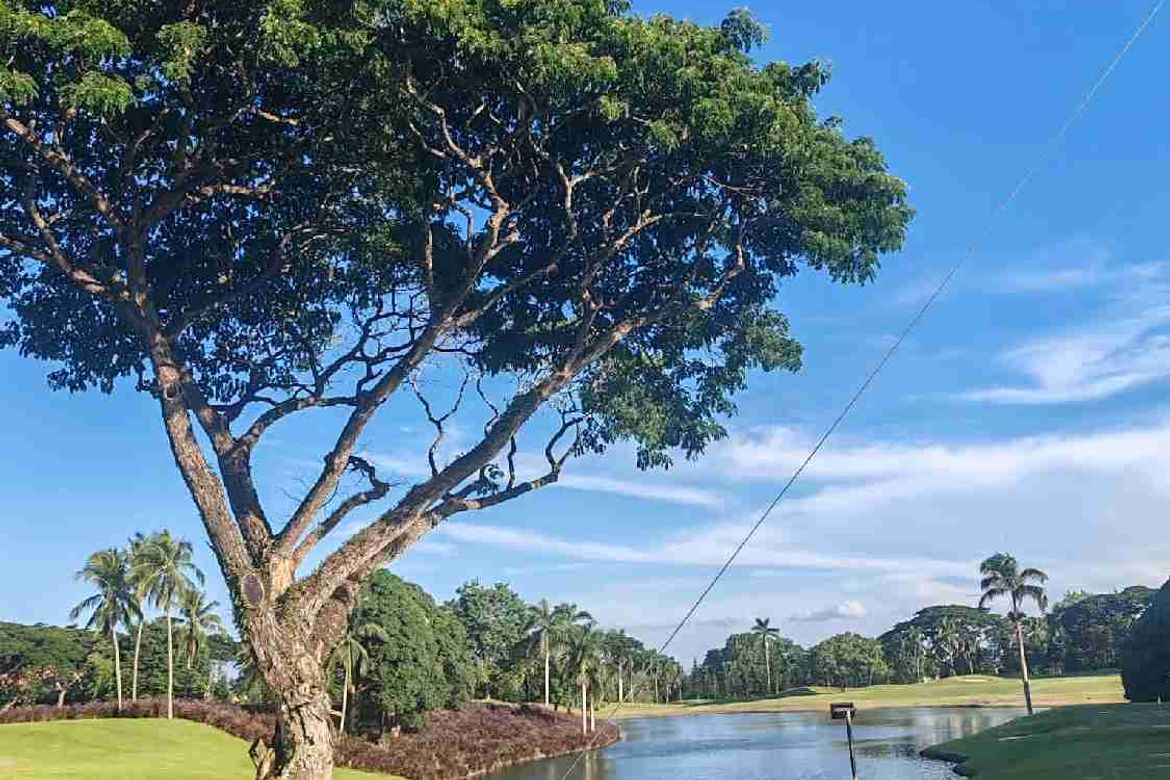Land for Sale in Dagatan, Lipa, Batangas – photo 6