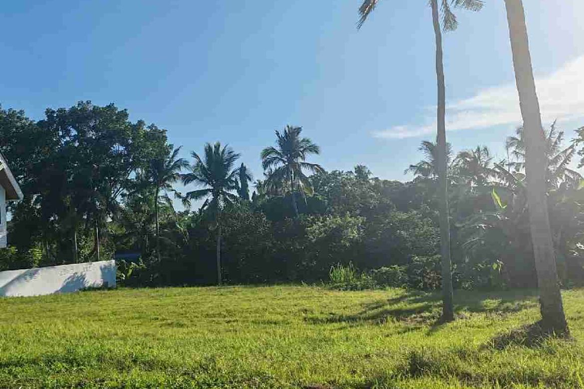 Land for Sale in Dagatan, Lipa, Batangas