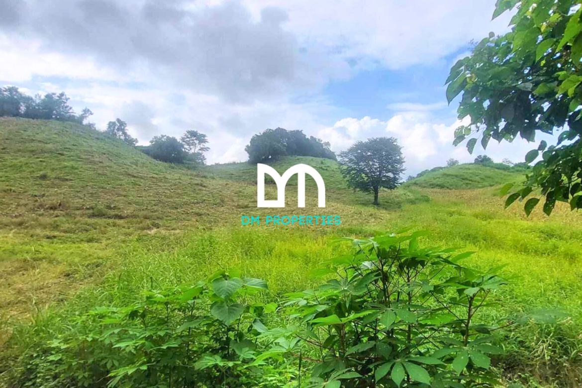 Land for Sale in Dagupan, Lal-lo, Cagayan – photo 2