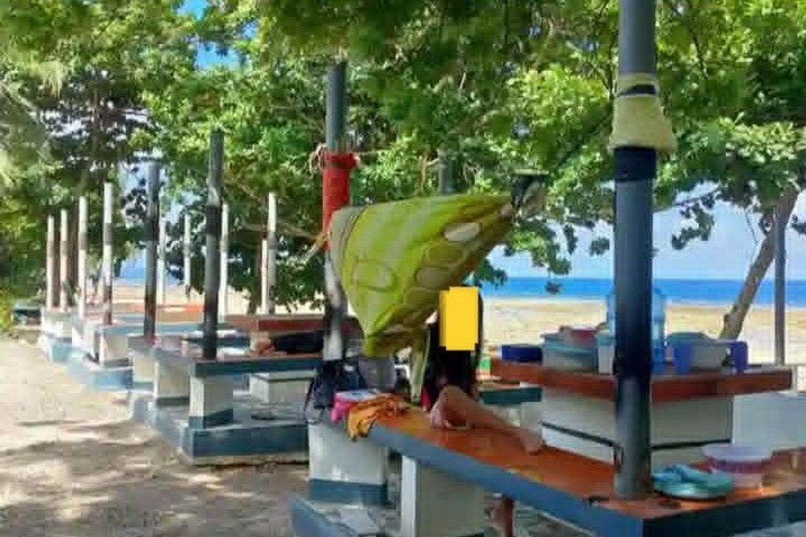 Land for Sale in Dahican, Mati, Davao Oriental