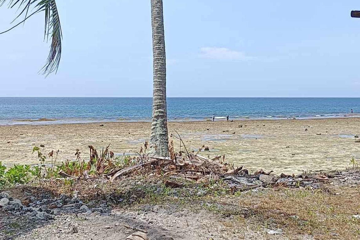 Land for Sale in Dahican, Mati, Davao Oriental – photo 3