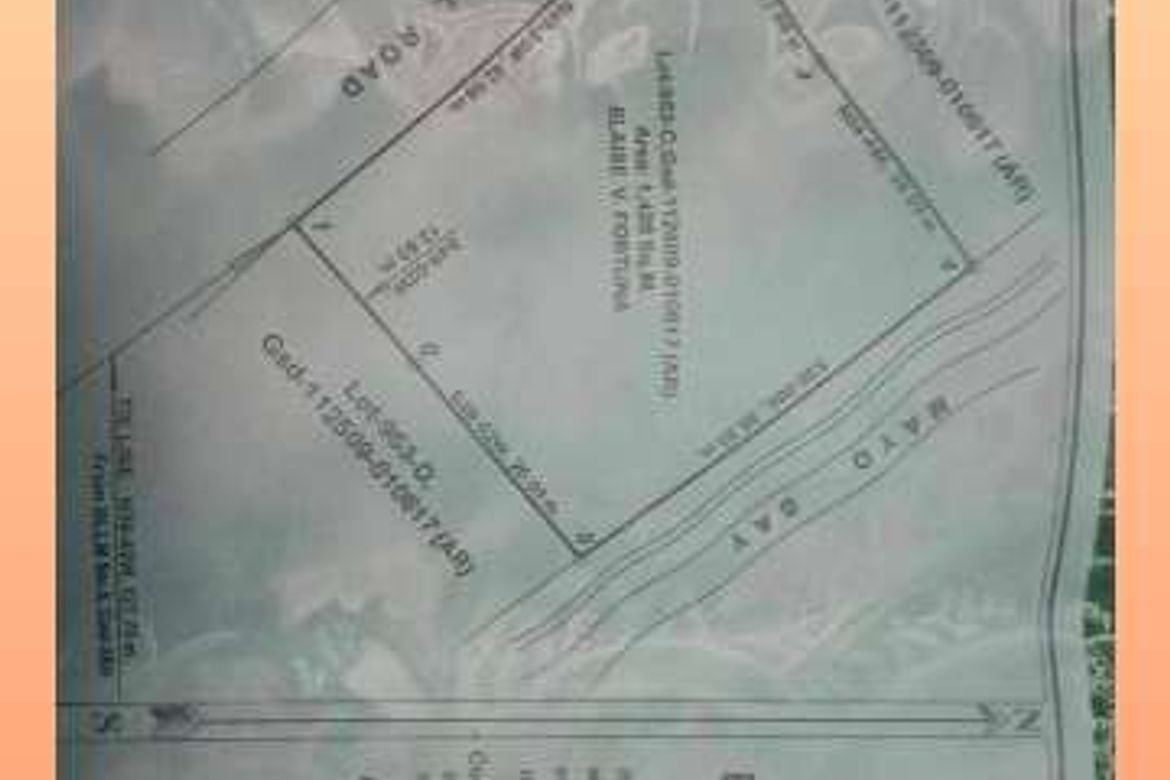 Land for Sale in Dahican, Mati, Davao Oriental – photo 5