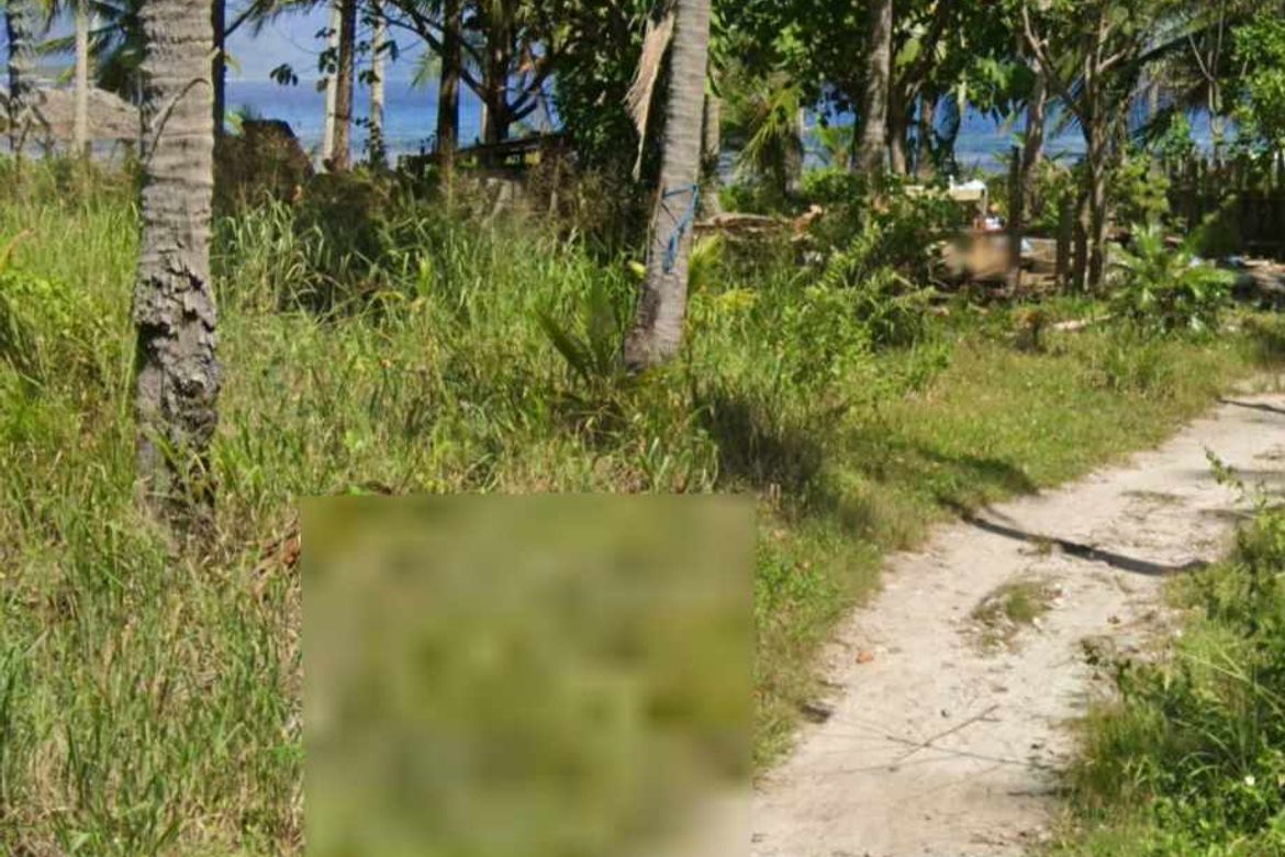 Land for Sale in Dahican, Mati, Davao Oriental – photo 6