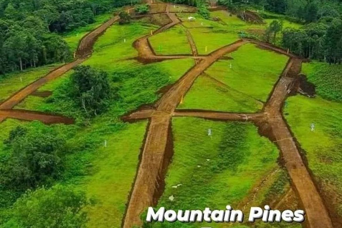 Land for Sale in Dahilayan, Manolo Fortich, Bukidnon – photo 2