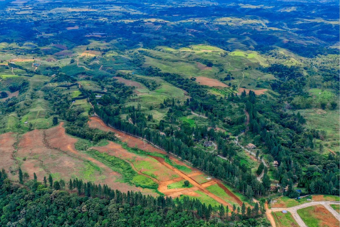 Land for Sale in Dahilayan, Manolo Fortich, Bukidnon – photo 3