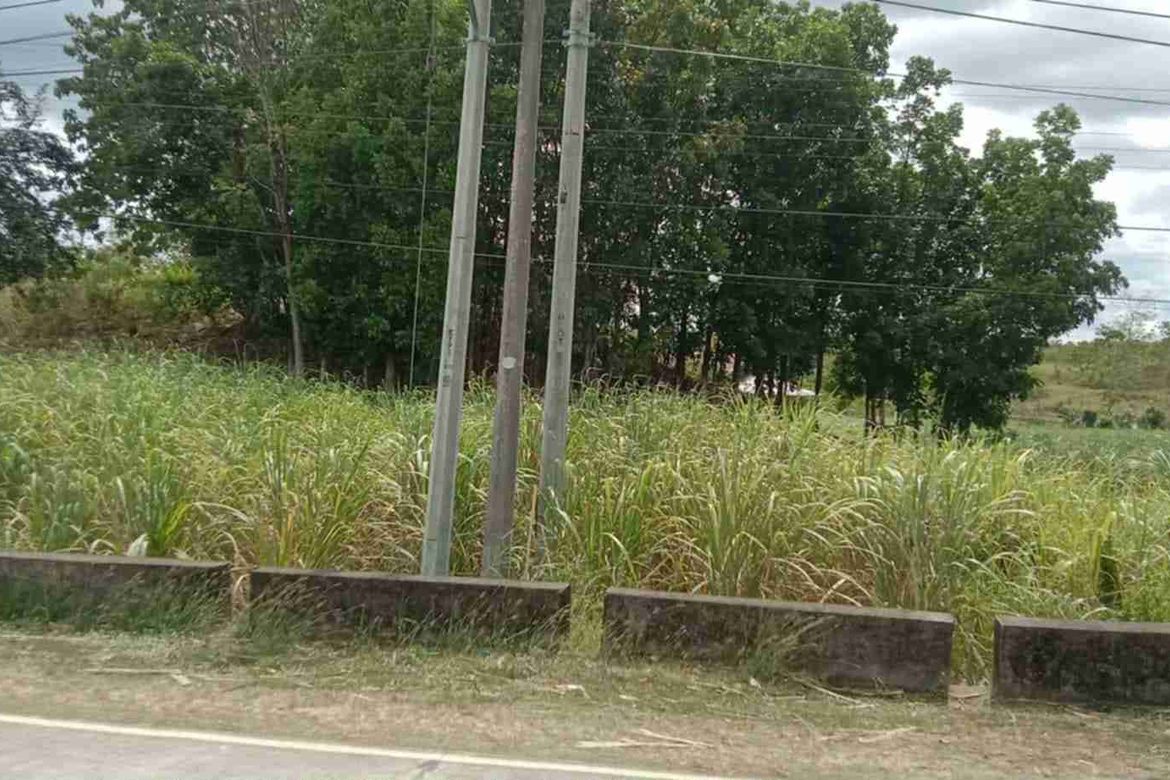 Land for Sale in Dahile, Mabinay, Negros Oriental