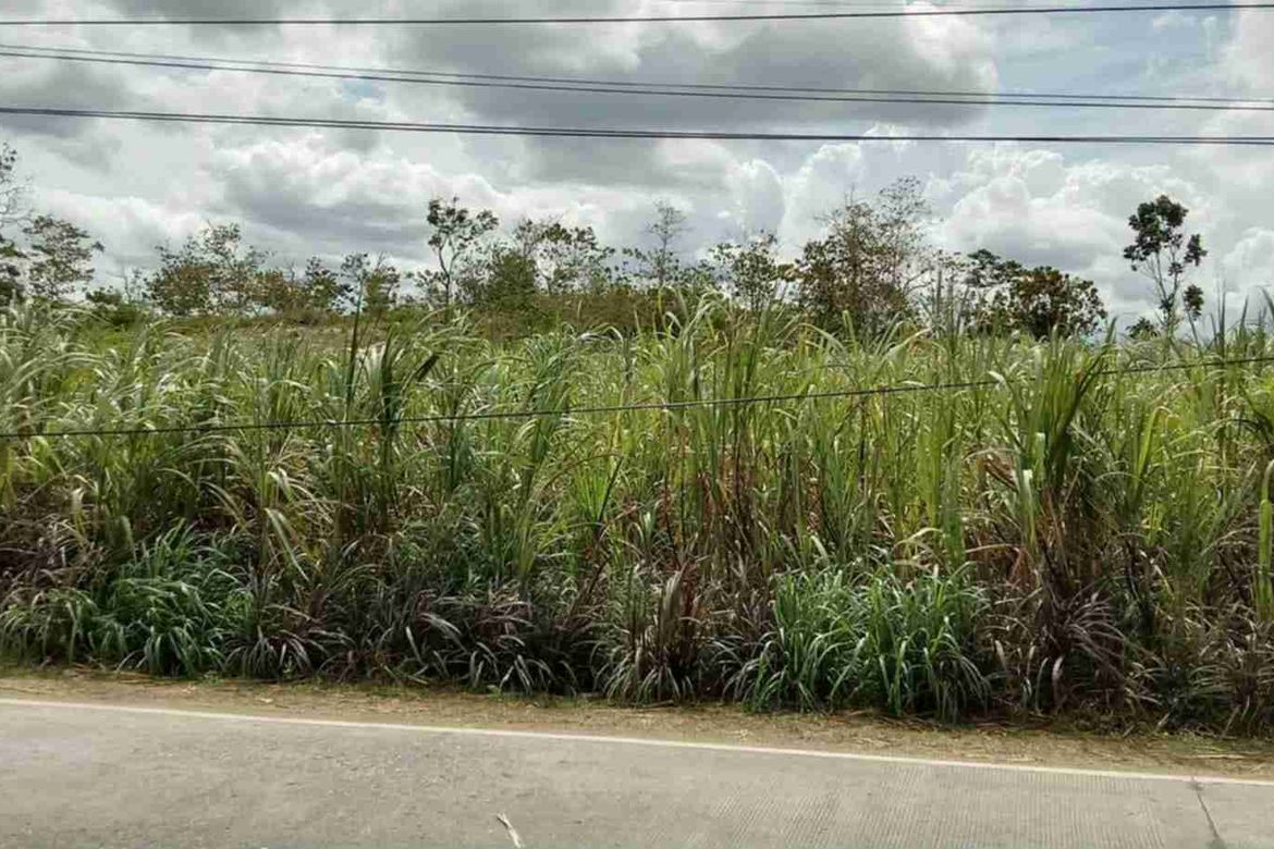 Land for Sale in Dahile, Mabinay, Negros Oriental – photo 2