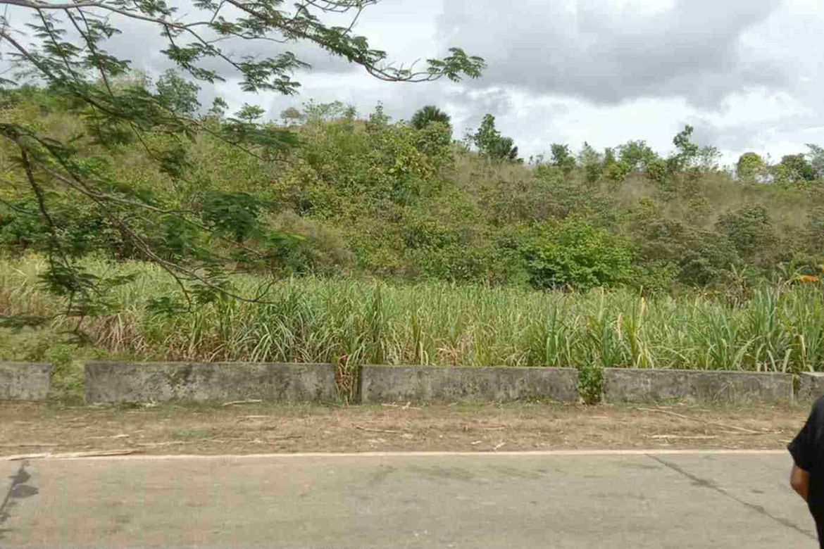 Land for Sale in Dahile, Mabinay, Negros Oriental – photo 7