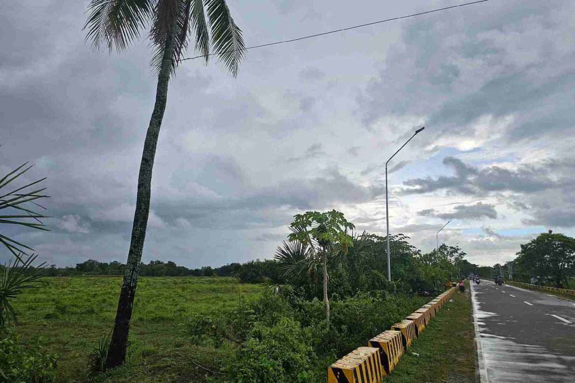 Land for Sale in Dakit, Bogo, Cebu – photo 3