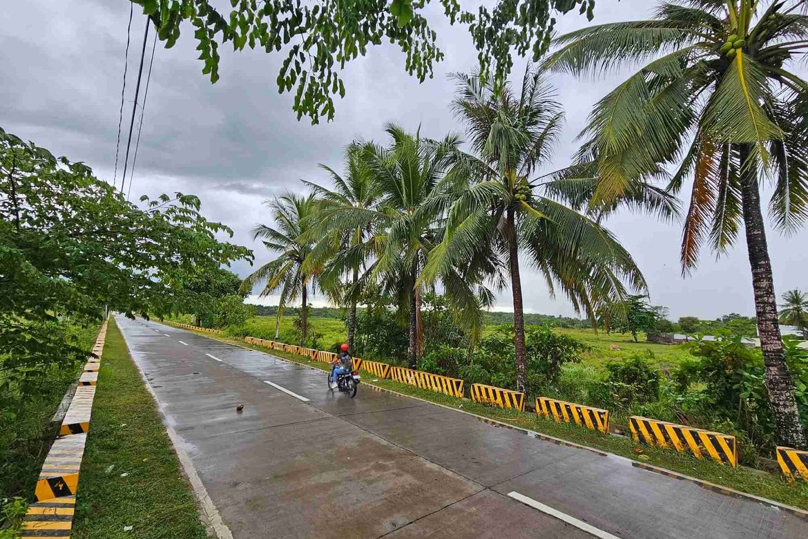 Land for Sale in Dakit, Bogo, Cebu – photo 4