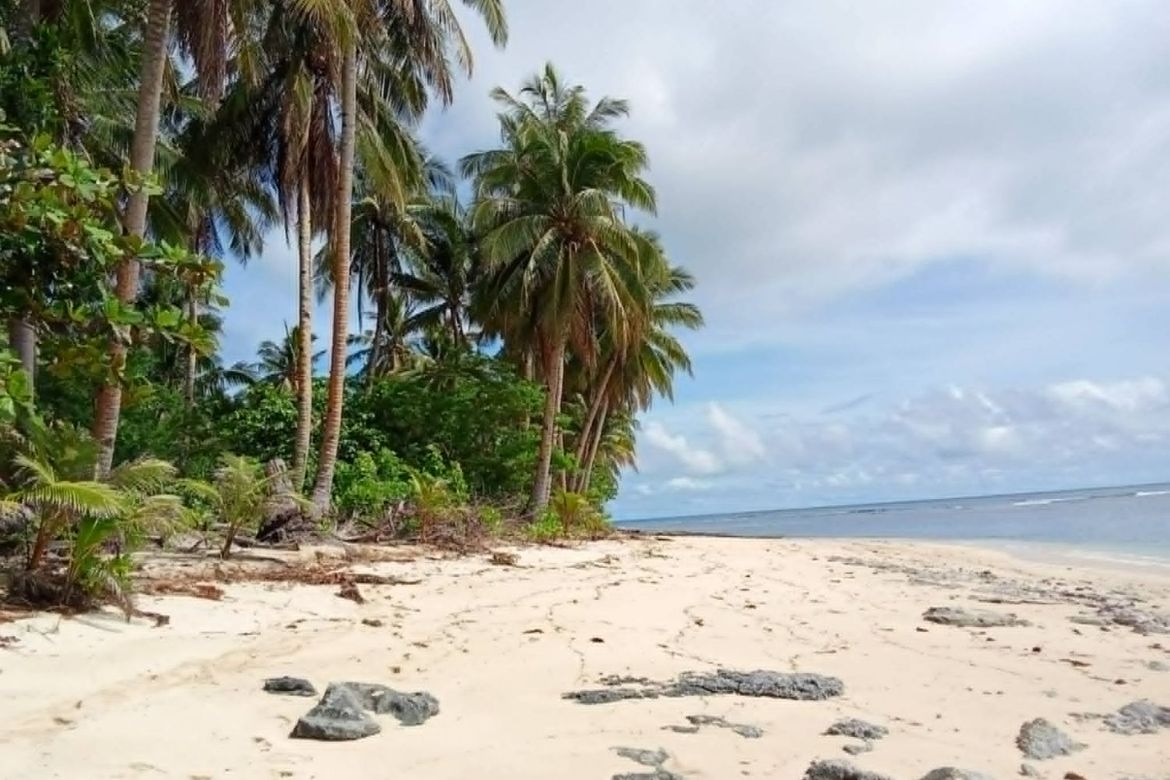 Land for Sale in Daku, General Luna, Surigao del Norte