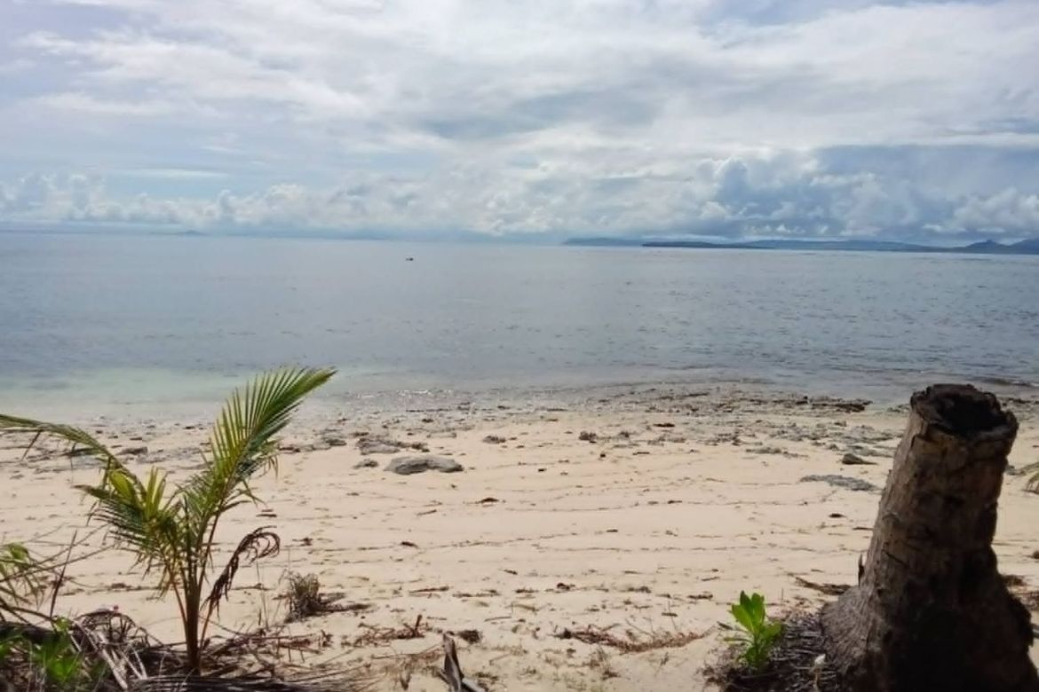 Land for Sale in Daku, General Luna, Surigao del Norte – photo 3