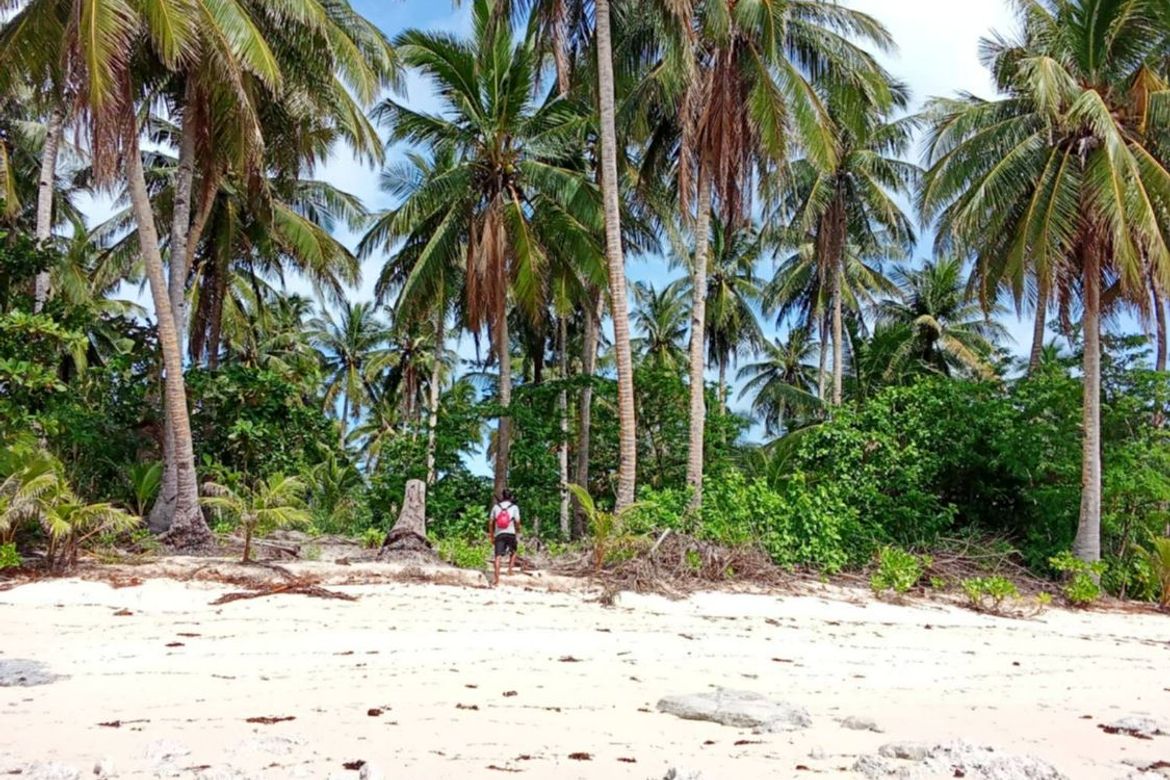 Land for Sale in Daku, General Luna, Surigao del Norte – photo 4