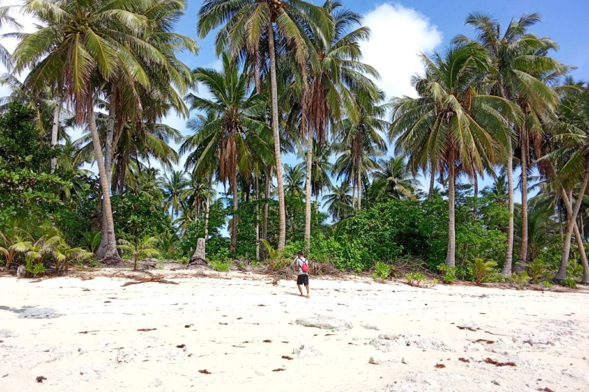 Land for Sale in Daku, General Luna, Surigao del Norte – photo 5