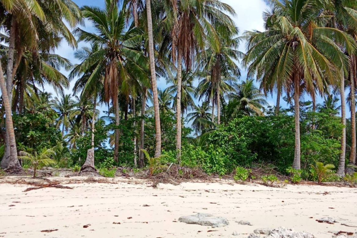 Land for Sale in Daku, General Luna, Surigao del Norte – photo 7