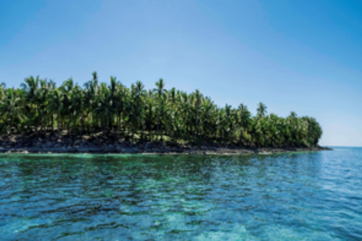 Land for Sale in Daku, General Luna, Surigao del Norte