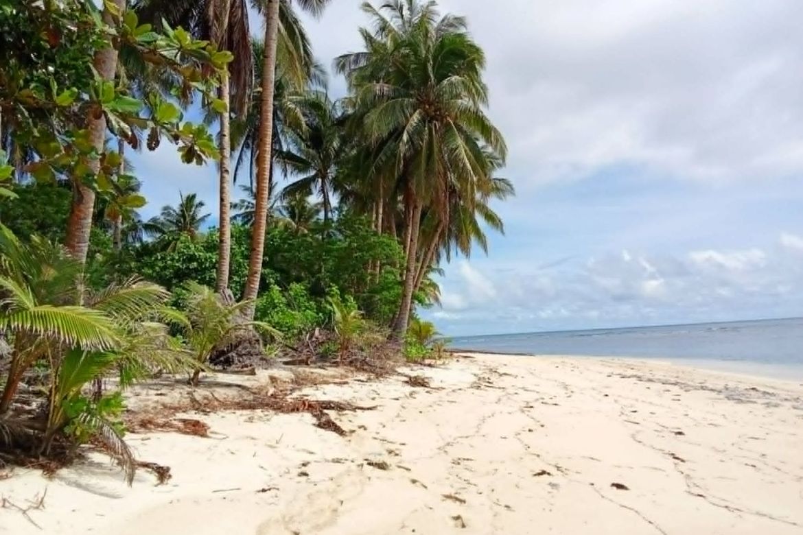 Land for Sale in Daku, General Luna, Surigao del Norte – photo 4