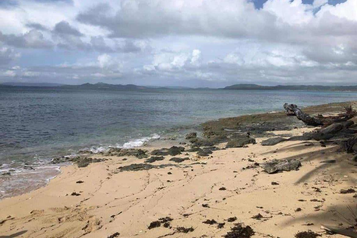 Land for Sale in Daku, General Luna, Surigao del Norte – photo 6