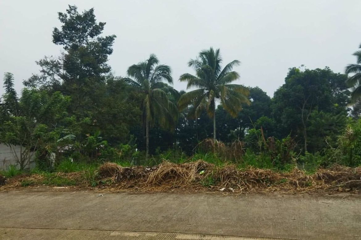 Land for Sale in Daliaon Plantation, Davao City, Davao del Sur