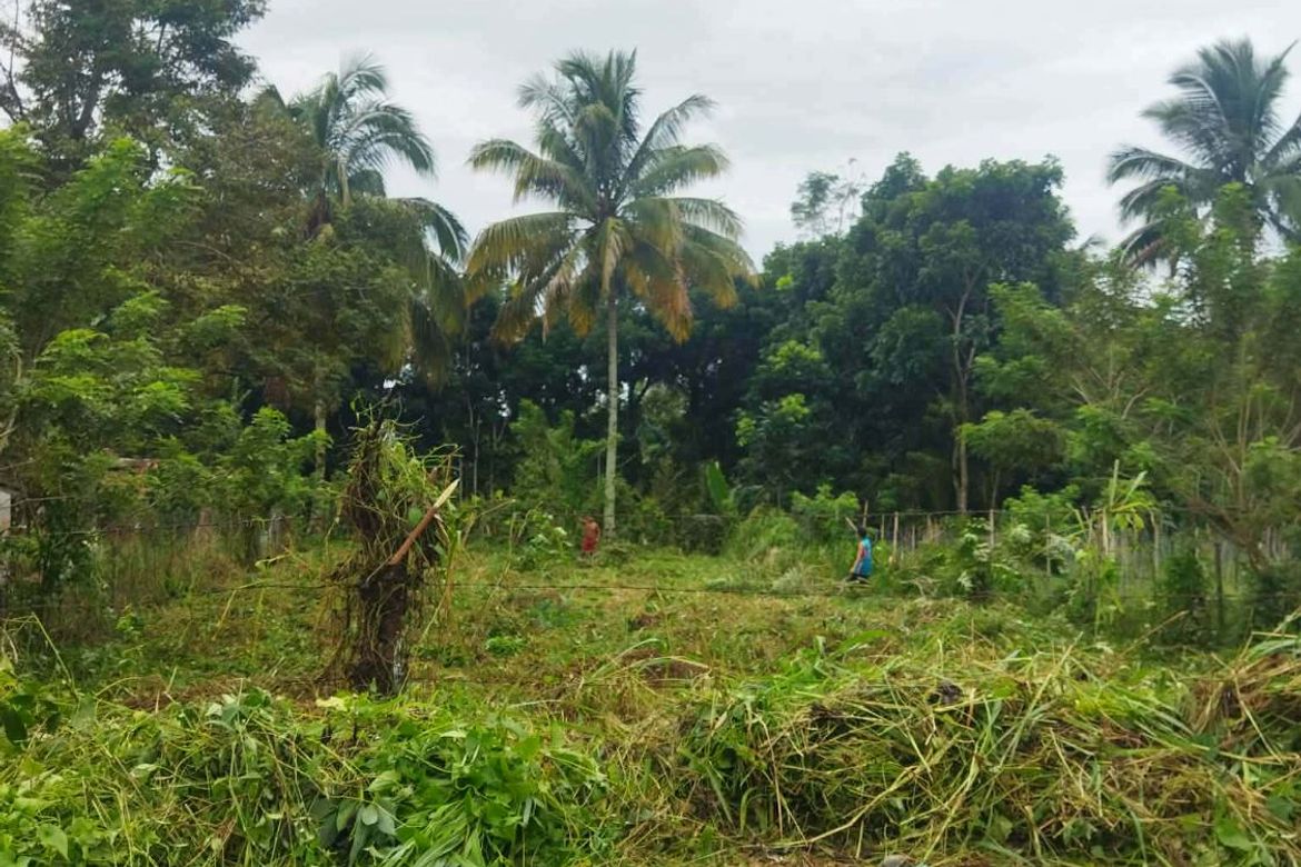 Land for Sale in Daliaon Plantation, Davao City, Davao del Sur – photo 2