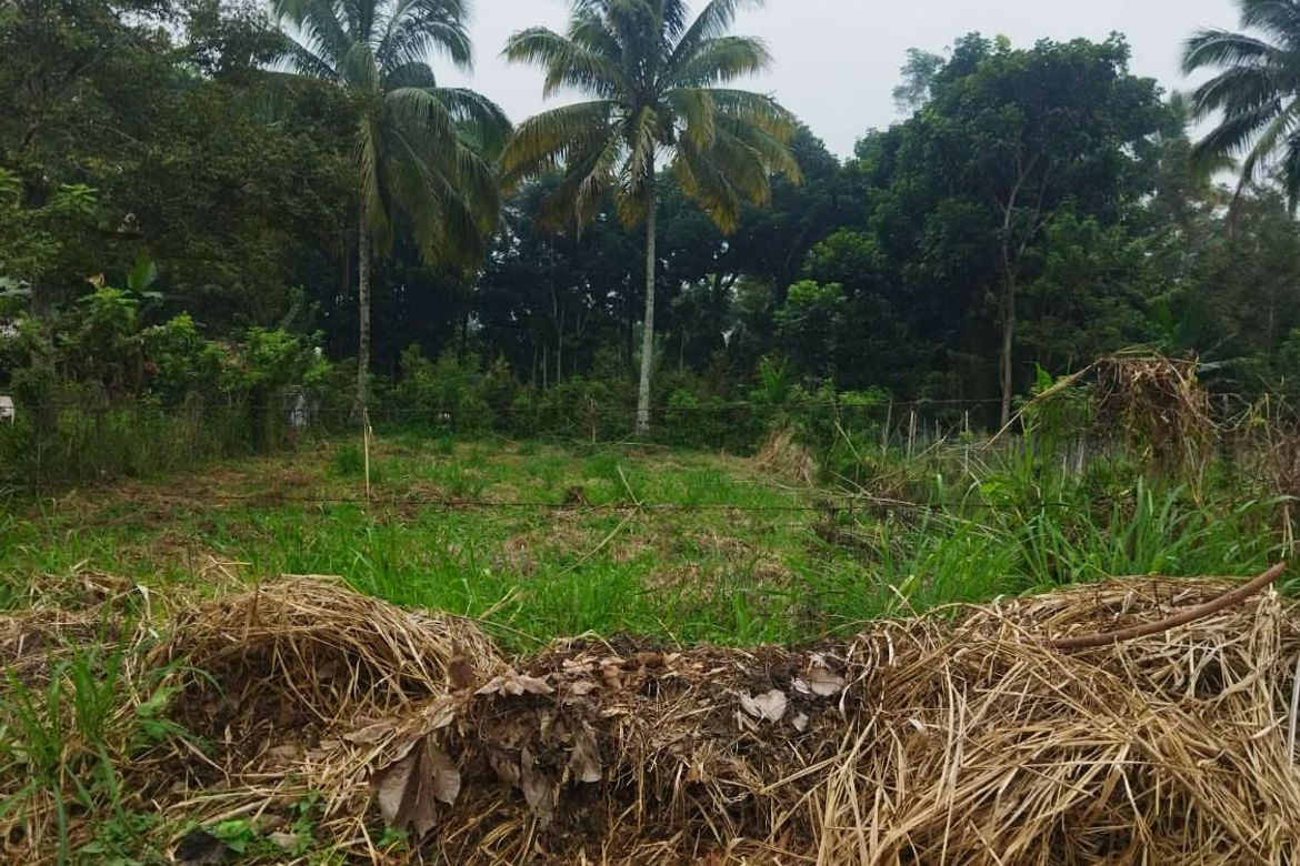 Land for Sale in Daliaon Plantation, Davao City, Davao del Sur – photo 3