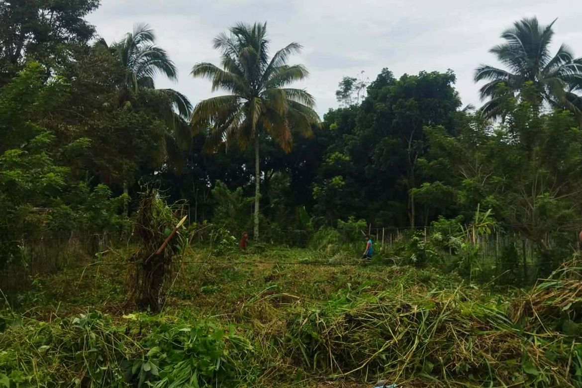 Land for Sale in Daliaon Plantation, Davao City, Davao del Sur – photo 5