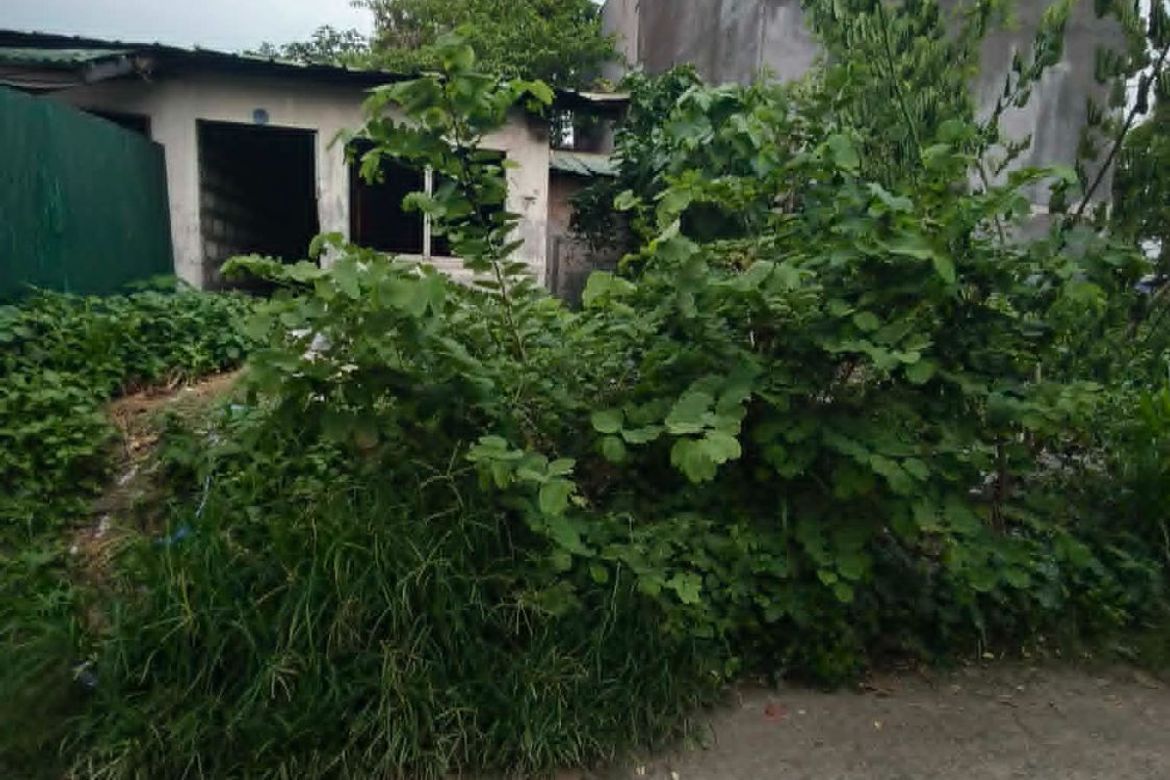 Land for Sale in Dalig, Teresa, Rizal – photo 5